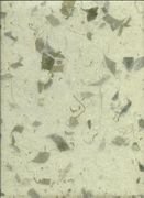 Dry Hunter Green Leaf