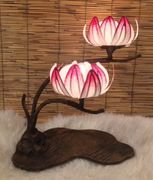 Flat Water Lily Side