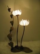 Flat Water Lily Up 2